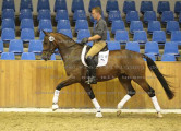 Foto-Archiv