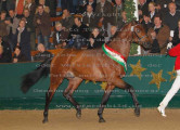 Foto-Archiv