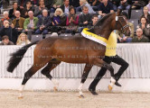 Foto-Archiv