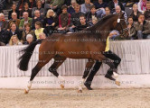Foto-Archiv