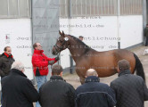 Foto-Archiv