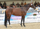 Foto-Archiv