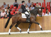 Foto-Archiv