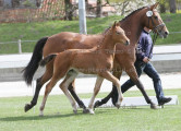 Foto-Archiv