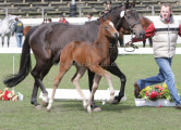 Foto-Archiv