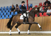 Foto-Archiv