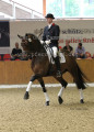 Foto-Archiv