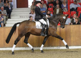 Foto-Archiv