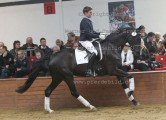 Foto-Archiv