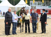 Foto-Archiv