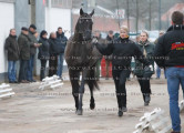 Foto-Archiv