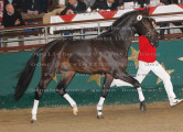 Foto-Archiv