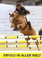 Foto-Archiv