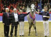Foto-Archiv