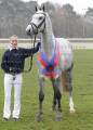 Foto-Archiv