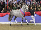 Foto-Archiv