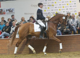 Foto-Archiv