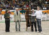 Foto-Archiv