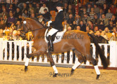 Foto-Archiv