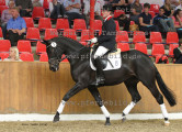 Foto-Archiv