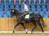 Foto-Archiv