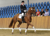 Foto-Archiv