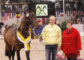 Foto-Archiv