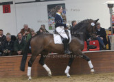 Foto-Archiv