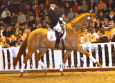 Foto-Archiv