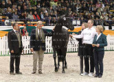 Foto-Archiv