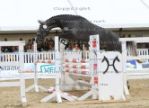 Foto-Archiv