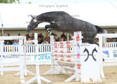 Foto-Archiv
