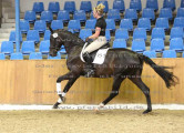 Foto-Archiv