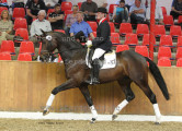 Foto-Archiv