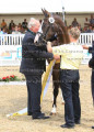 Foto-Archiv