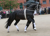 Foto-Archiv