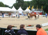 Foto-Archiv