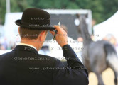 Foto-Archiv