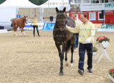 Foto-Archiv