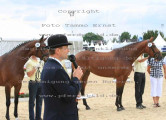 Foto-Archiv