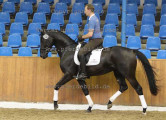 Foto-Archiv