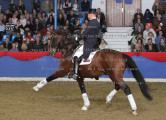 Foto-Archiv
