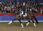 Foto-Archiv