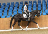 Foto-Archiv