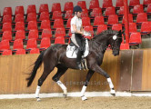 Foto-Archiv