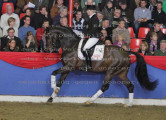Foto-Archiv