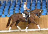 Foto-Archiv