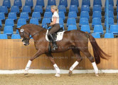 Foto-Archiv