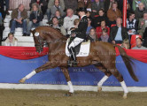 Foto-Archiv