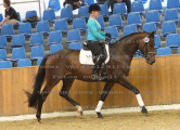 Foto-Archiv